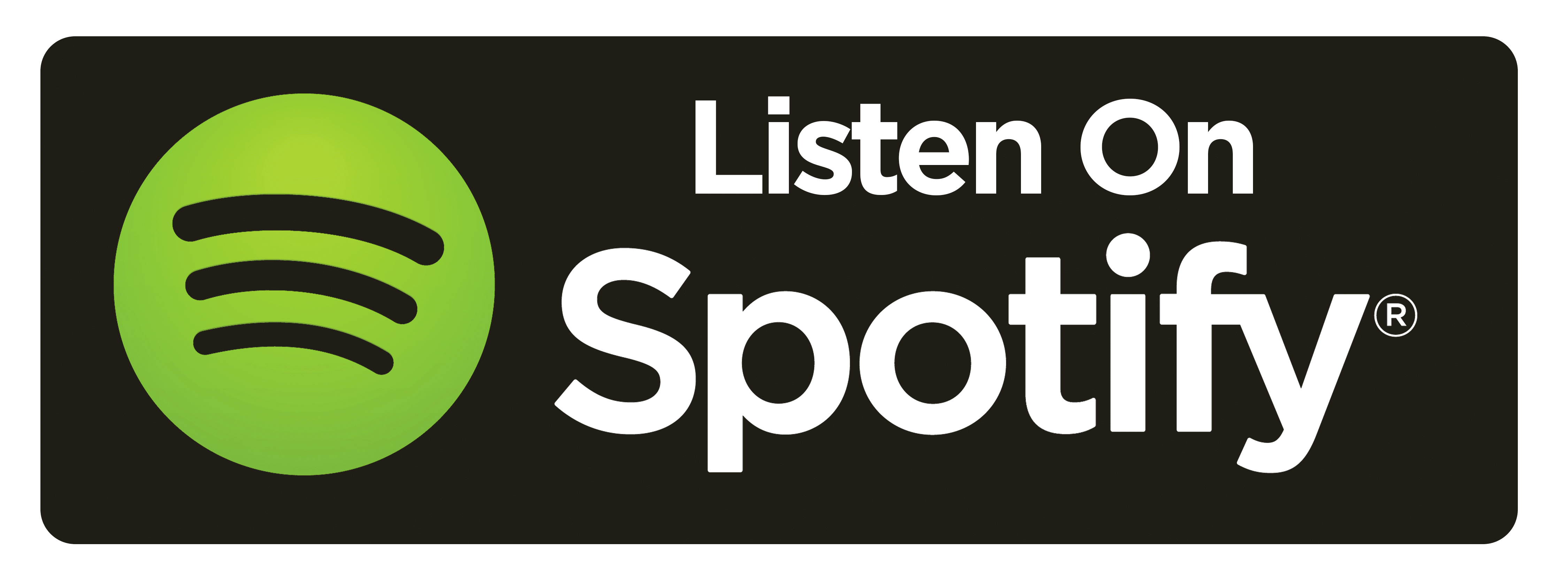 icon spotify