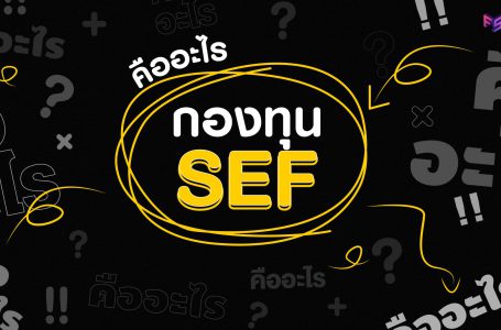กองทุน SEF คืออะไร ?