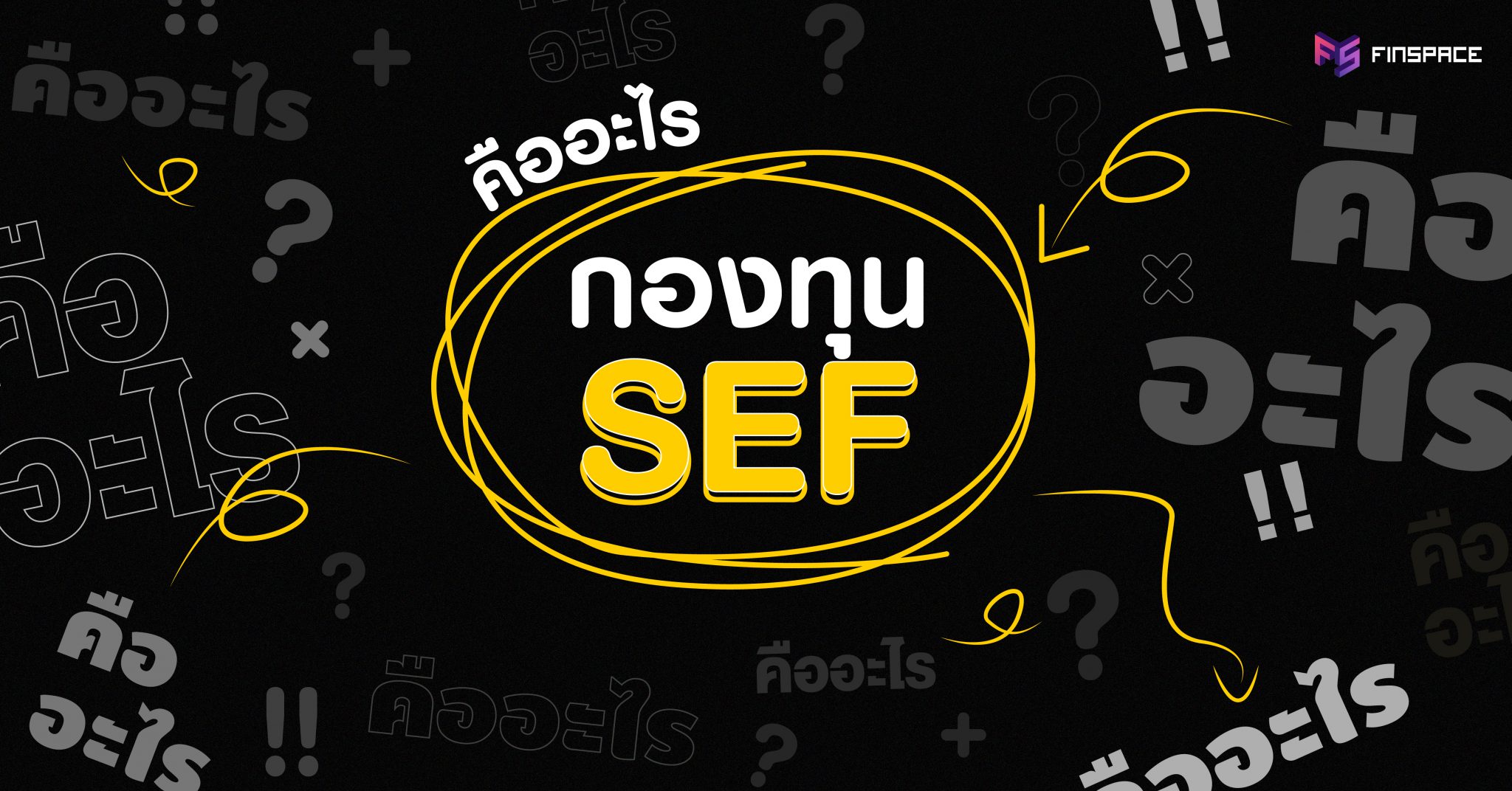  กองทุน SEF คืออะไร ?