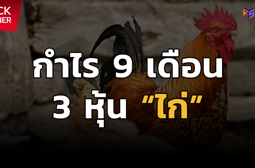  กำไร 9 เดือนของ 3 หุ้นไก่