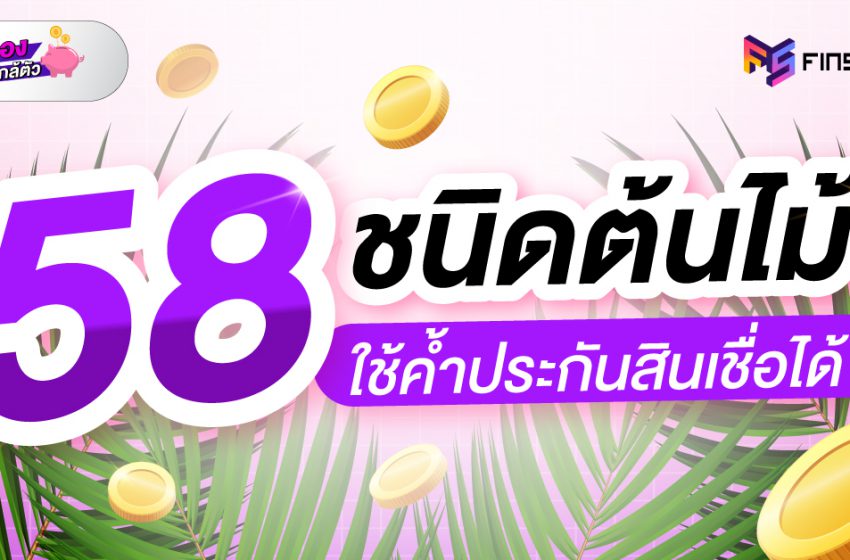  58 ชนิดต้นไม้ ใช้ค้ำประกันขอสินเชื่อได้