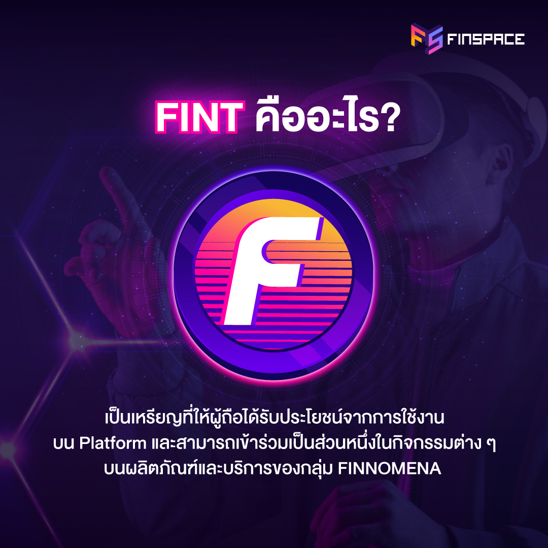 FINT คืออะไร