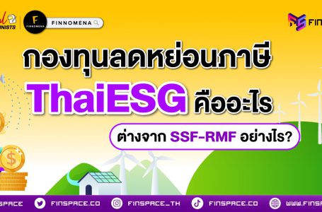 กองทุน ThaiESG คืออะไร? ลดหย่อนภาษีแบบใหม่ เทียบกับ SSF RMF ต่างกันอย่างไร ?