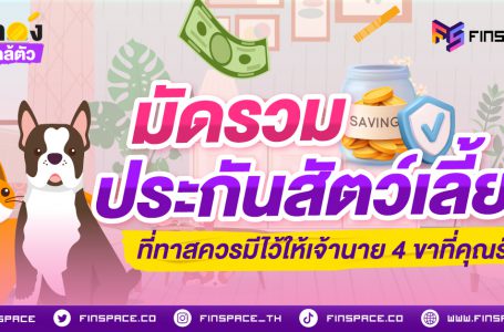 มัดรวมประกันสัตว์เลี้ยง ที่ทาสควรมีไว้ให้เจ้านาย 4 ขาที่คุณรัก