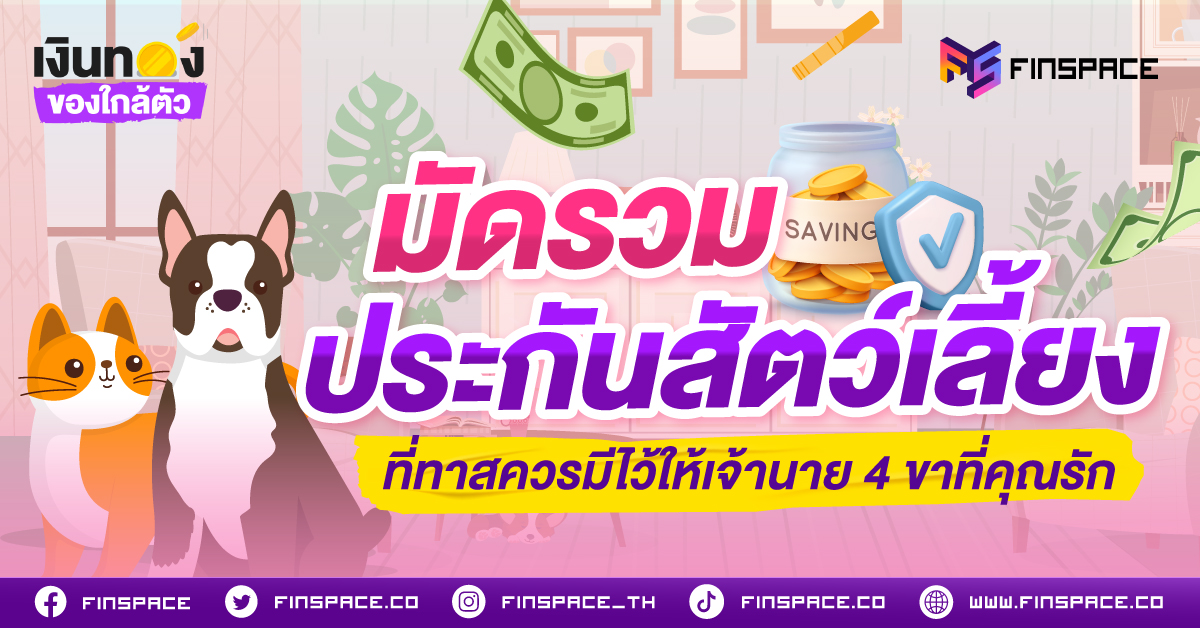 มัดรวมประกันสัตว์เลี้ยง ที่ทาสควรมีไว้ให้เจ้านาย 4 ขาที่คุณรัก