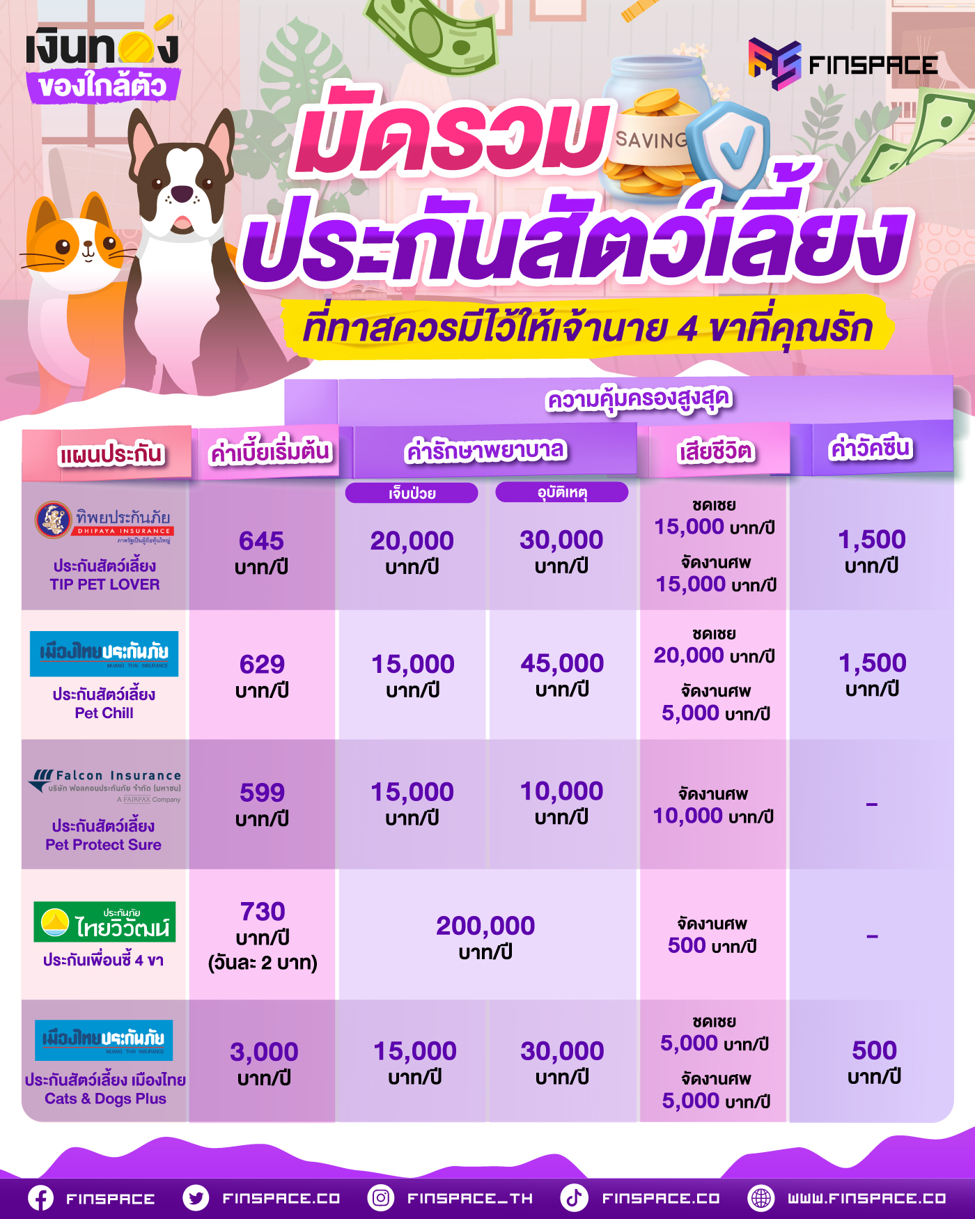 มัดรวมประกันสัตว์เลี้ยง ที่ทาสควรมีไว้ให้เจ้านาย 4 ขาที่คุณรัก